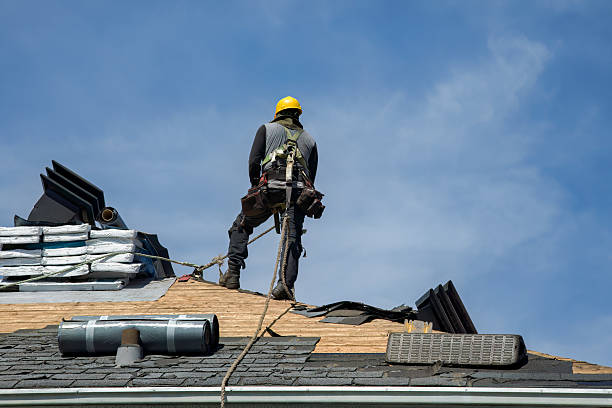 Professional Flat Roof Repair technician working in Oglesby, IL